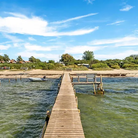 Amazing In * Tranekaer